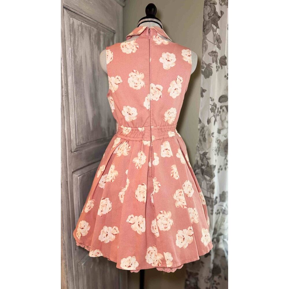 Liz Lisa Collared Floral Pink Dress Jfashion Gyaru Himekaji Coquette Autumn 2013 - Picture 15 of 16
